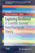 Exploring Resilience: A Scientific Journey from Practice to Theory