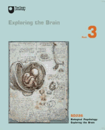 Exploring the Brain