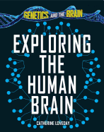 Exploring the Human Brain