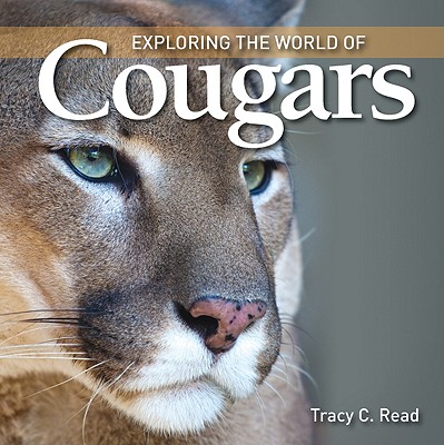 Exploring the World of Cougars - Read, Tracy C