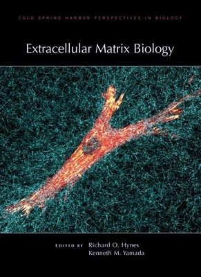 Extracellular Matrix Biology - Hynes, Richard O (Editor), and Yamada, Kenneth M (Editor)
