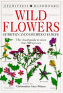 Eyewitness Handbook:  14 Wildflowers of Britain & NW Europe