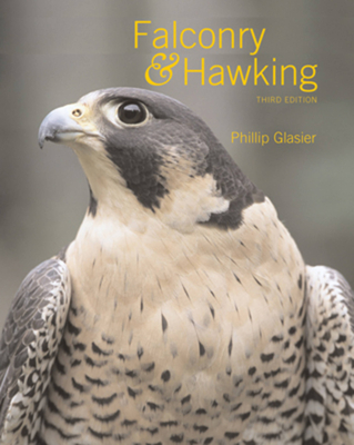 Falconry & Hawking - Glasier, Phillip