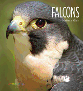 Falcons