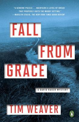 Fall from Grace: A David Raker Mystery - Weaver, Tim