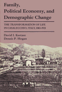 Family, Political Economy, and Demographic Change: The Transformation of Life in Casalecchio, Italy, 1861-1921