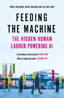 Feeding the Machine: The Hidden Human Labour Powering AI - Muldoon, James, and Graham, Mark, and Cant, Callum