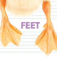 Feet