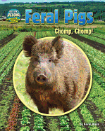 Feral Pigs: Chomp, Chomp!