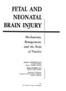 Fetal and Neonatal Brain Injury: Mechanisms, Management and the Risk of Malpractice - Stevenson, David K