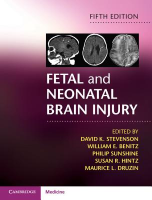 Fetal and Neonatal Brain Injury - Stevenson, David K. (Editor), and Benitz, William E. (Editor), and Sunshine, Philip (Editor)