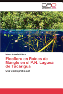 Ficoflora en Races de Mangle en el P.N. Laguna de Tacarigua