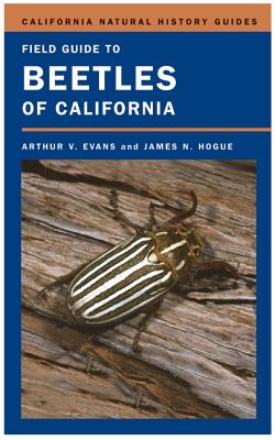 Field Guide to Beetles of California - Hogue, James N, and Evans, Arthur V, Dr.