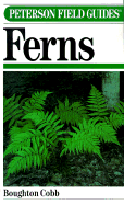 Field Guide to Ferns: And Their Related Families