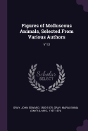 Figures of Molluscous Animals, Selected from Various Authors: V 13