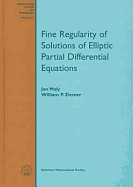 Fine Regularity of Solutions of Elliptic Partial Differential Equations - Maly, Jan