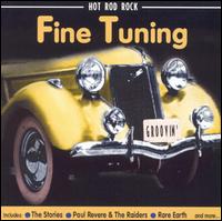 Fine Tuning - Various Artists
