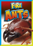 Fire Ants