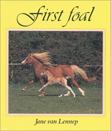 First Foal