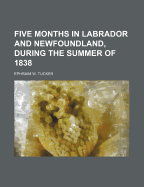 Five Months in Labrador and Newfoundland, During the Summer of 1838