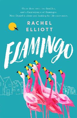 Flamingo: Longlisted for the Women's Prize for Fiction 2022, an exquisite novel of kindness and hope - Elliott, Rachel