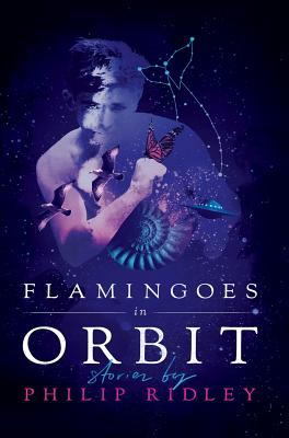 Flamingoes in Orbit - Ridley, Philip