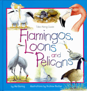 Flamingos, Loons and Pelicans