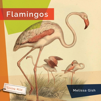 Flamingos - Gish, Melissa