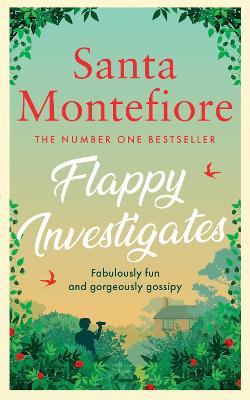 Flappy Investigates - Montefiore, Santa
