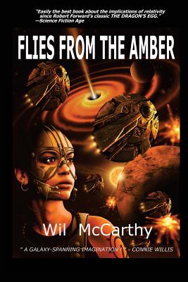 Flies from the Amber - McCarthy, Wil