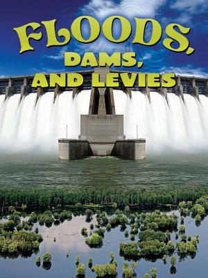 Floods, Dams, and Levees - Mattern, Joanne