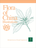 Flora of China Illustrations, Volume 7: Menispermaceae Through Capparaceae