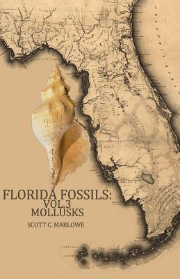 Florida Fossils: Mollusks - Marlowe, Scott C