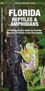 Florida Reptiles & Amphibians: A Folding Pocket Guide to Familiar Species of Florida & the Everglades