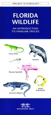 Florida Seashore Life: A Folding Pocket Guide to Familiar Plants and Animals - Kavanagh, James