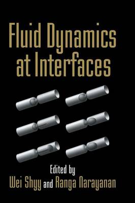 Fluid Dynamics at Interfaces - Narayanan, Ranga (Editor)