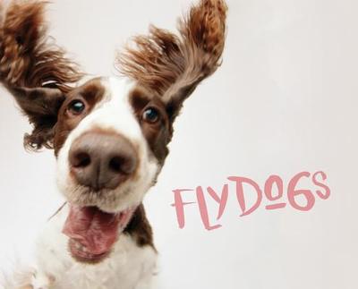 Flydogs - Berger, Todd R (Editor)