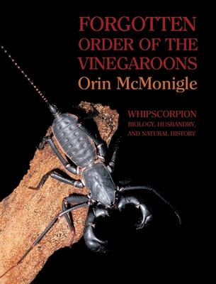 Forgotten Order of the Vinegaroons: Whipscorpion Biology, Husbandry, and Natural History - McMonigle, Orin