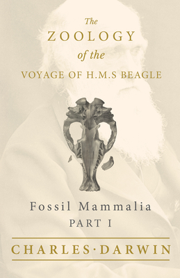 Fossil Mammalia - Part I - The Zoology of the Voyage of H.M.S Beagle; Under the Command of Captain Fitzroy - During the Years 1832 to 1836 - Darwin, Charles, and Owen, Richard