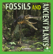 Fossils and Ancient Plants