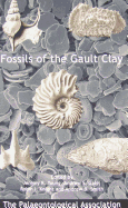 Fossils of the Gault Clay
