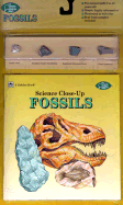 Fossils - Bell, Robert A