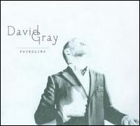 Foundling - David Gray