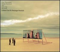 Four Thousand Seven Hundred and Sixty-Six Seconds: A Short Cut to Teenage Fanclub - Teenage Fanclub