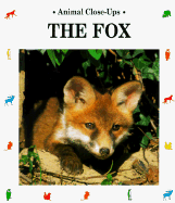 Fox, Playful Prowler