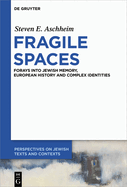 Fragile Spaces: Forays Into Jewish Memory, European History and Complex Identities