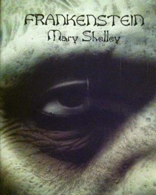 Frankenstein (Spanish Edition): El Moderno Prometeo - Winter, Erick, and Shelley, Mary