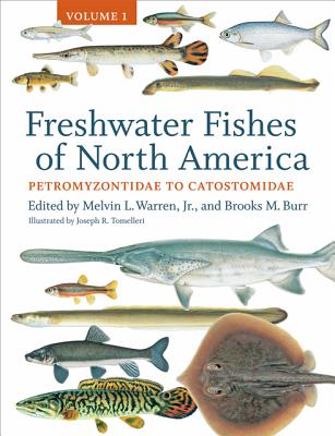 Freshwater Fishes of North America: Volume 1: Petromyzontidae to Catostomidae Volume 1 - Warren, Melvin L (Editor), and Burr, Brooks M (Editor)