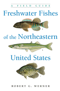 Freshwater Fishes of the Northeastern United States: A Field Guide