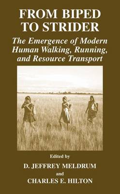 From Biped to Strider: The Emergence of Modern Human Walking, Running, and Resource Transport - Meldrum, D Jeffrey (Editor), and Hilton, Charles E (Editor)